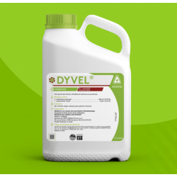 DYVEL BIDON 5 L